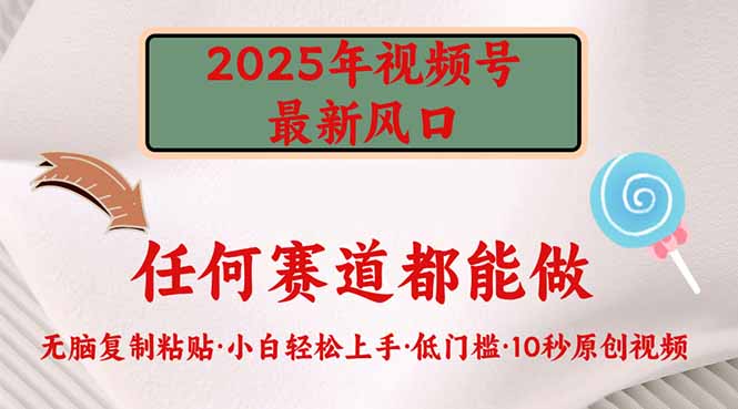 2025年视频号新风口，低门槛只需要无脑执行-乐码云集