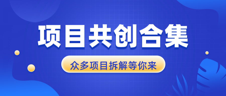 项目共创合集，从0-1全过程拆解，让你迅速找到适合自已的项目-乐码云集