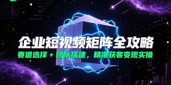企业短视频矩阵全攻略，赛道选择+团队搭建，精准获客变现实操-乐码云集
