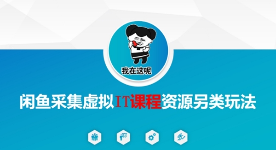 闲鱼采集虚拟IT课程资源另类玩法，干货满满-乐码云集