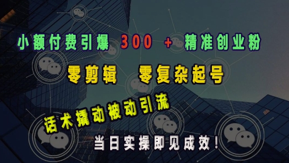 小额付费引爆 300 + 精准创业粉，零剪辑、零复杂起号，话术撬动被动引流，当日实操即见成效-乐码云集