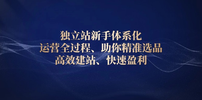 独立站新手体系化 运营全过程，助你精准选品、高效建站、快速盈利-乐码云集