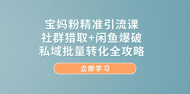 宝妈粉精准引流课，社群猎取+闲鱼爆破，私域批量转化全攻略-乐码云集