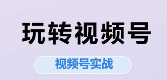 玩转视频号，视频号实战系列课-乐码云集
