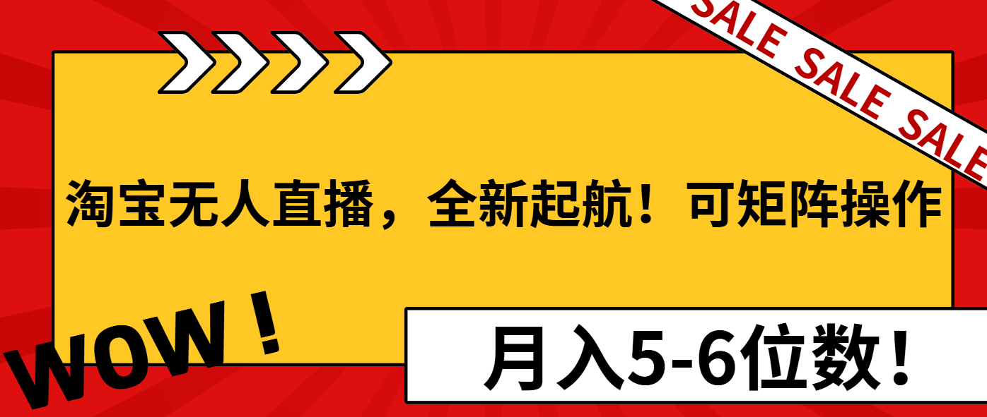 淘宝无人直播，全新起航！可矩阵操作，月入5-6位数！-乐码云集