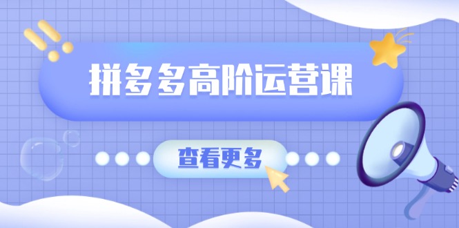 拼多多高阶运营课：极致群爆款玩法，轻付费无尽复制，打造单品爆款之路-乐码云集