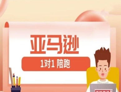 亚马逊1对1陪跑课(FBA/FBM精铺)跨境亚马逊教程-乐码云集
