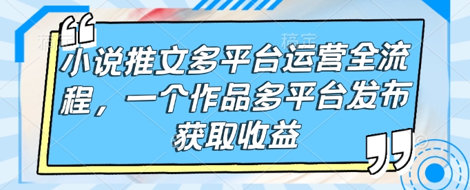 小说推文多平台运营全流程，一个作品多平台发布获取收益-乐码云集