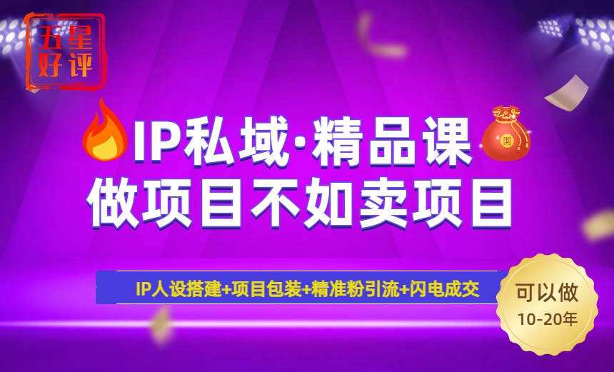 2025年“IP私域·密训精品课”，日赚3000+小白避坑年赚百万，暴力引流…-乐码云集
