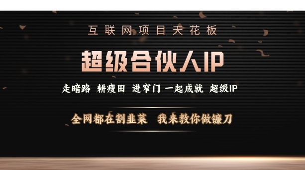 互联网项目天花板，超级合伙人IP，全网都在割韭菜，我来教你做镰刀【仅揭秘】-乐码云集