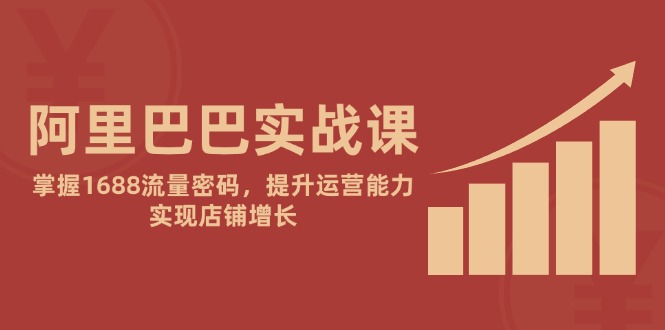 阿里巴巴实战课：掌握1688流量密码，提升运营能力，实现店铺增长-乐码云集
