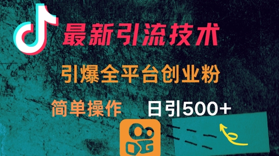 最新引流方法，引爆全平台的一个创业粉，简单操作日引300+-乐码云集