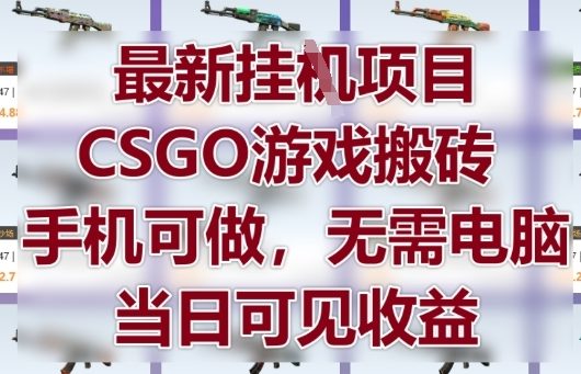 最新挂G项目，CSGO游戏搬砖，手机可做，无需电脑，当日见收益【揭秘】-乐码云集