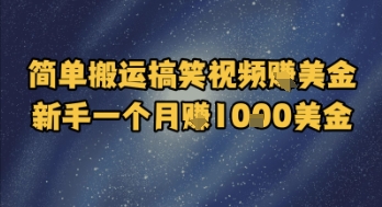 简单搬运搞笑视频挣美金，新手一个月入1k美金-乐码云集
