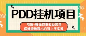 拼多多挂机项目 引流+赚钱双重收益项目(保姆级教程小白可上手实操)-乐码云集