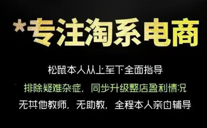 松鼠会电商VIP课程，从基础布局到高阶优化，助你掌握淘宝运营逻辑，提升店铺流量与转化(更新0823)-乐码云集