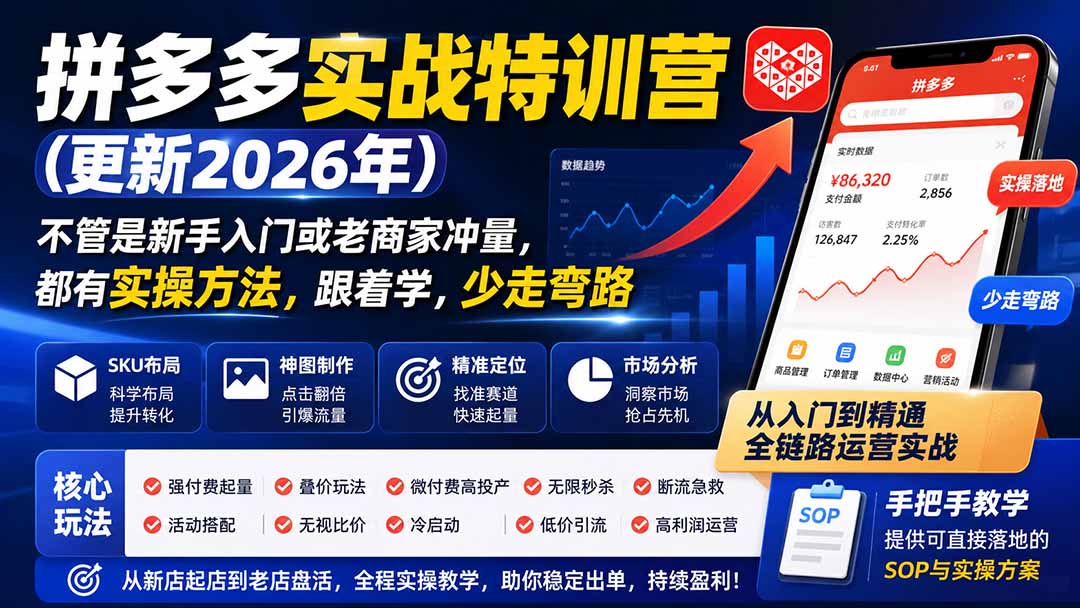 拼多多实战特训营(更新26年0822-乐码云集