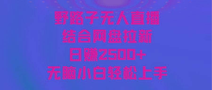 无人直播野路子结合网盘拉新，日赚2500+多平台变现，小白无脑轻松上手操作-乐码云集