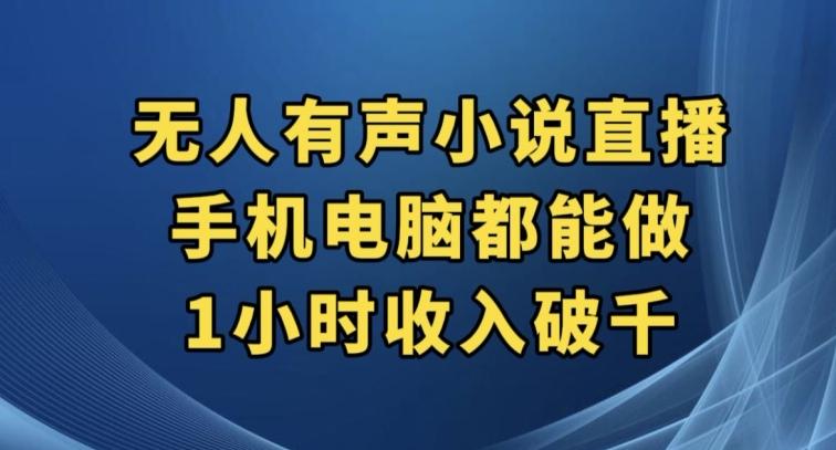 抖音无人有声小说直播，手机电脑都能做，1小时收入破千【揭秘】-乐码云集