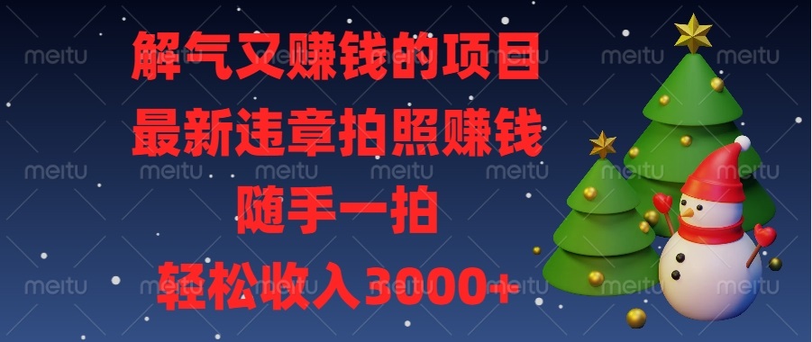 解气又赚钱的项目，最新违章拍照赚钱，随手一拍，轻松收入3000+-乐码云集