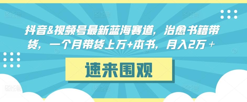 抖音&视频号最新蓝海赛道，治愈书籍带货，一个月带货上万+本书，月入2万＋【揭秘】-乐码云集