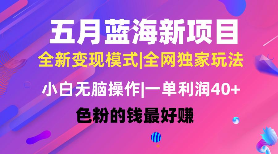 五月蓝海项目全新玩法，小白无脑操作，一天几分钟，矩阵操作，月入4万+-乐码云集
