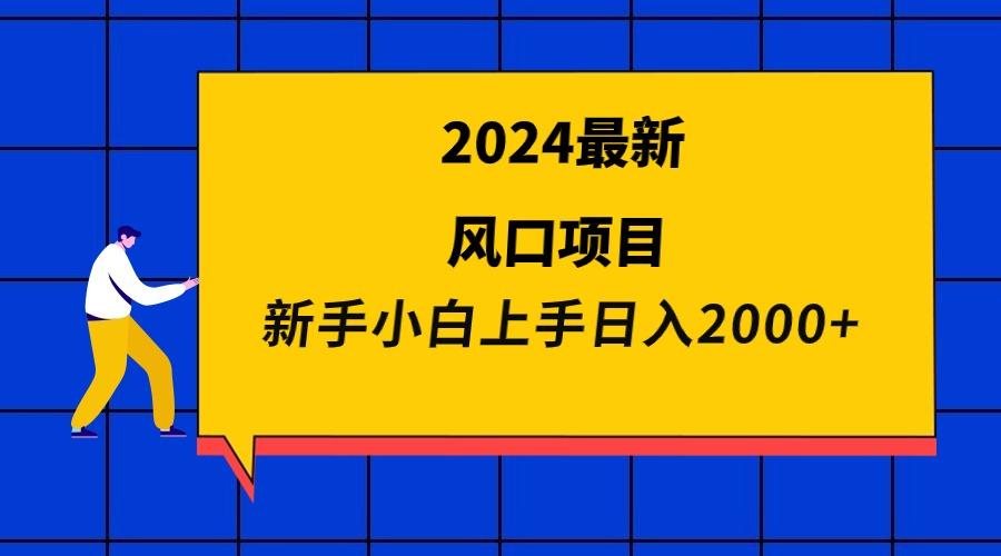 (9483期)2024最新风口项目 新手小白日入2000+-乐码云集