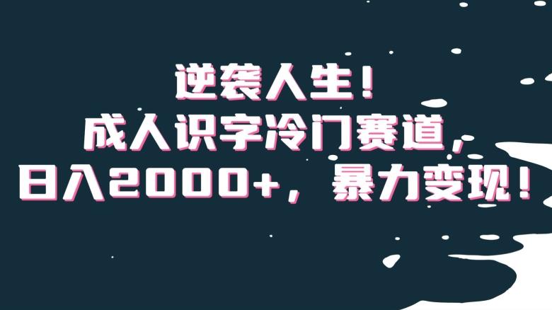 逆袭人生！成人识字冷门赛道，日入2000+，暴力变现！【揭秘】-乐码云集