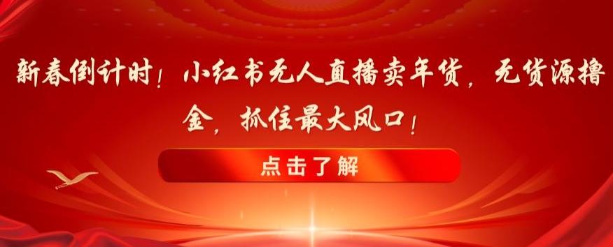 新春倒计时！小红书无人直播卖年货，无货源撸金，抓住最大风口【揭秘】-乐码云集