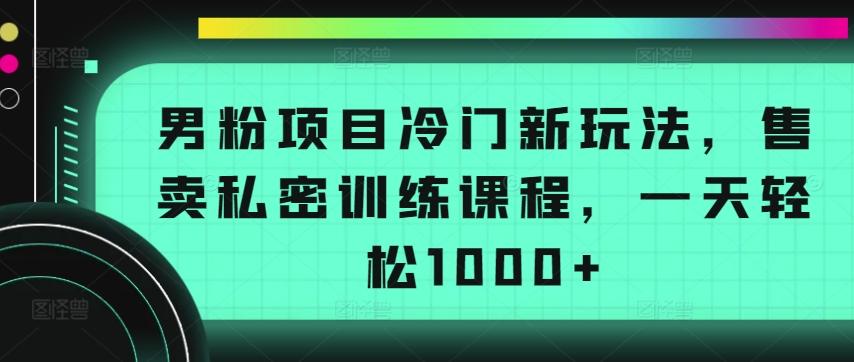 男粉项目冷门新玩法，售卖私密训练课程，一天轻松1000+【揭秘】-乐码云集