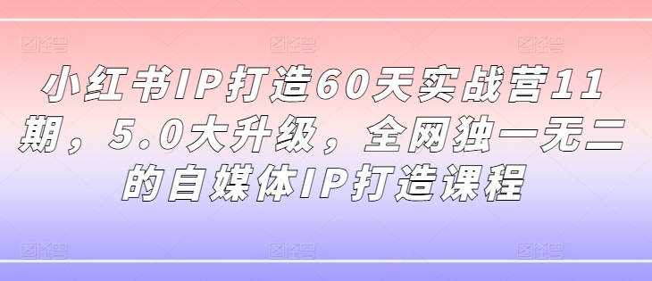 小红书IP打造60天实战营11期，5.0大升级，全网独一无二的自媒体IP打造课程-乐码云集