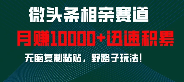 微头条相亲赛道，迅速积累，无脑复制粘贴，野路子玩法，月入1w-乐码云集