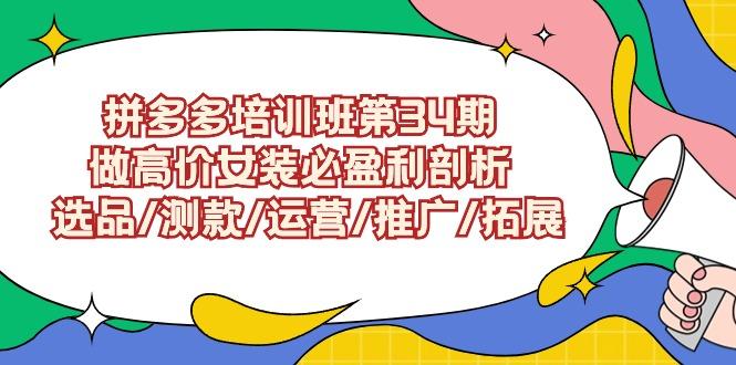 (9333期)拼多多培训班第34期：做高价女装必盈利剖析  选品/测款/运营/推广/拓展-乐码云集