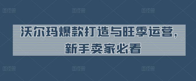 沃尔玛爆款打造与旺季运营，新手卖家必看-乐码云集