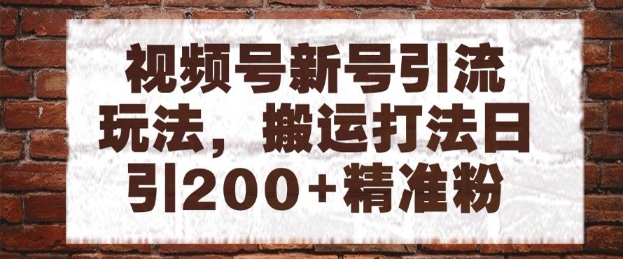 视频号新号引流玩法，搬运打法日引200+精准粉，可矩阵放大【揭秘】-乐码云集