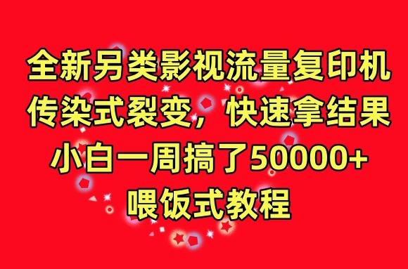 全新另类影视流量复印机，传染式裂变，快速拿结果，小白一周搞了50000+，喂饭式教程【揭秘】-乐码云集