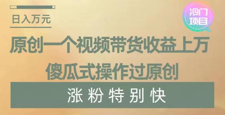 原创一个视频带货收益上万，傻瓜式操作过原创，几分钟做一个视频涨粉特别快【揭秘】-乐码云集
