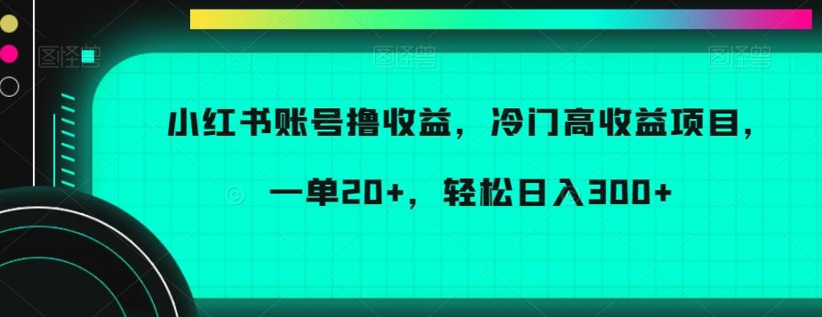 小红书账号撸收益，冷门高收益项目，一单20+，轻松日入300+【揭秘】-乐码云集