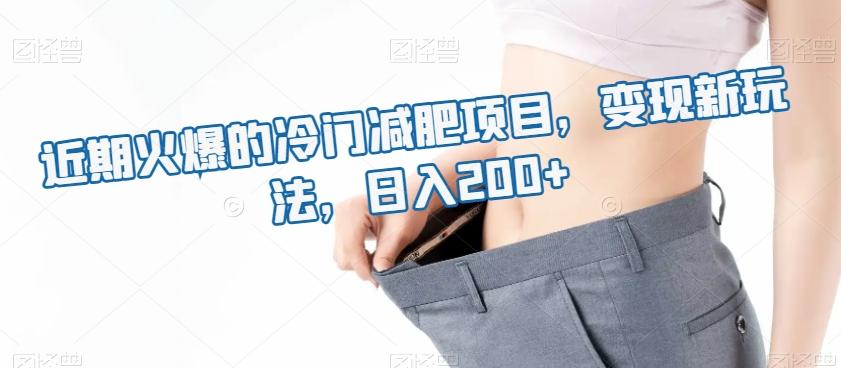 近期火爆的冷门减肥项目，变现新玩法，日入200+-乐码云集