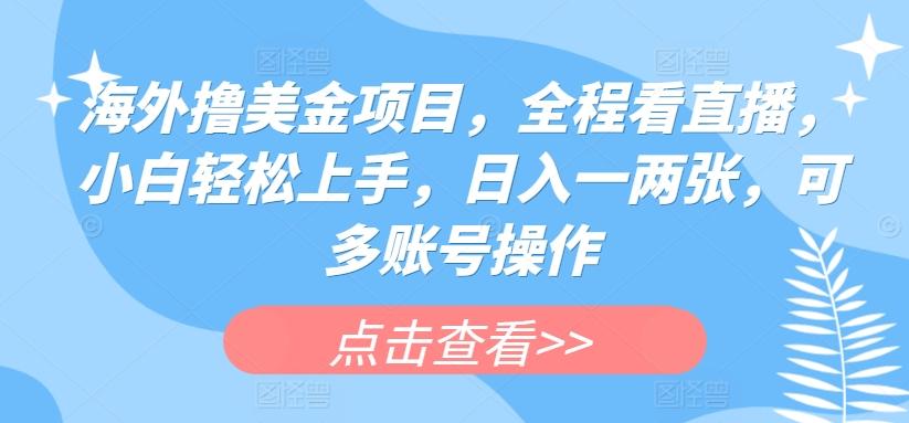 海外撸美金项目，全程看直播，小白轻松上手，日入一两张，可多账号操作【揭秘】-乐码云集