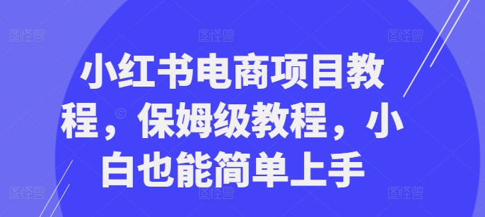 小红书电商项目教程，保姆级教程，小白也能简单上手-乐码云集