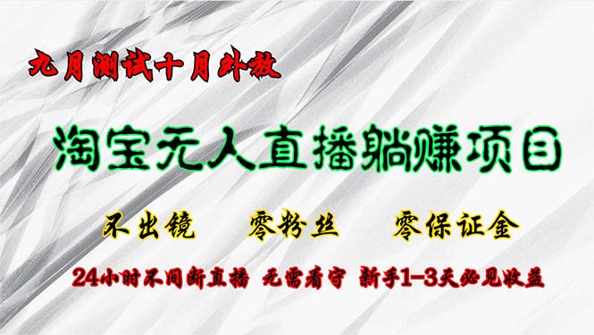 淘宝无人直播最新玩法，九月测试十月外放，不出镜零粉丝零保证金，24小…-乐码云集