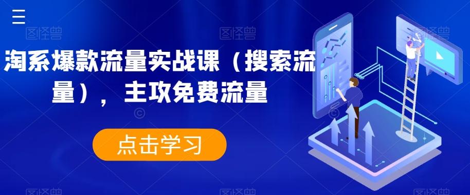 淘系爆款流量实战课（搜索流量），主攻免费流量-乐码云集