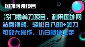冷门撸美刀项目，利用国外网站刷视频，轻松日入80+美刀，可放大操作，小白随便上手-乐码云集