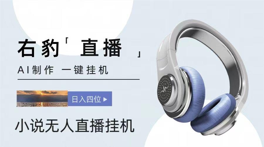 右豹小说无人直播挂机吸金项目，简单易行收益稳定， 月入1000+-乐码云集