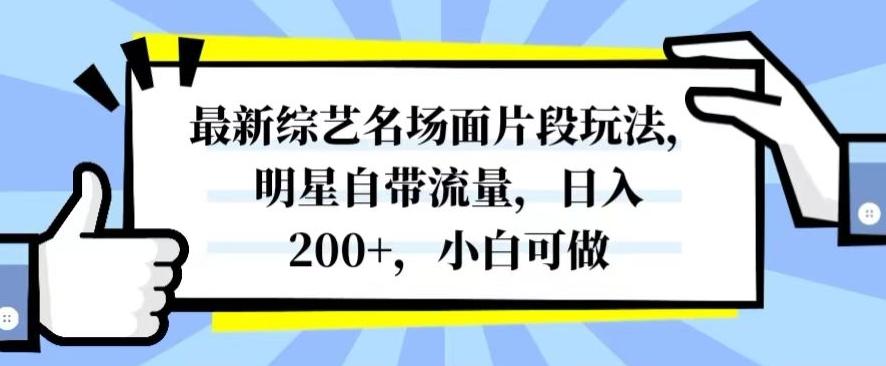 最新综艺名场面片段玩法，明星自带流量，日入200+，小白可做【揭秘】-乐码云集