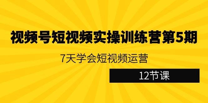 视频号短视频实操训练营第5期：7天学会短视频运营(12节课)-乐码云集