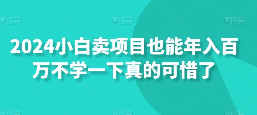 2024小白卖项目也能年入百万不学一下真的可惜了-乐码云集