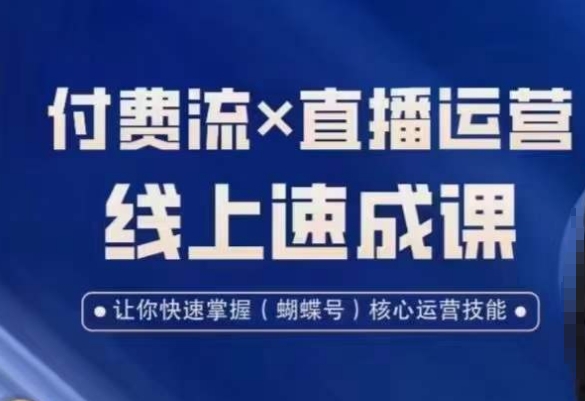 视频号付费流实操课程，付费流✖️直播运营速成课，让你快速掌握视频号核心运营技能-乐码云集