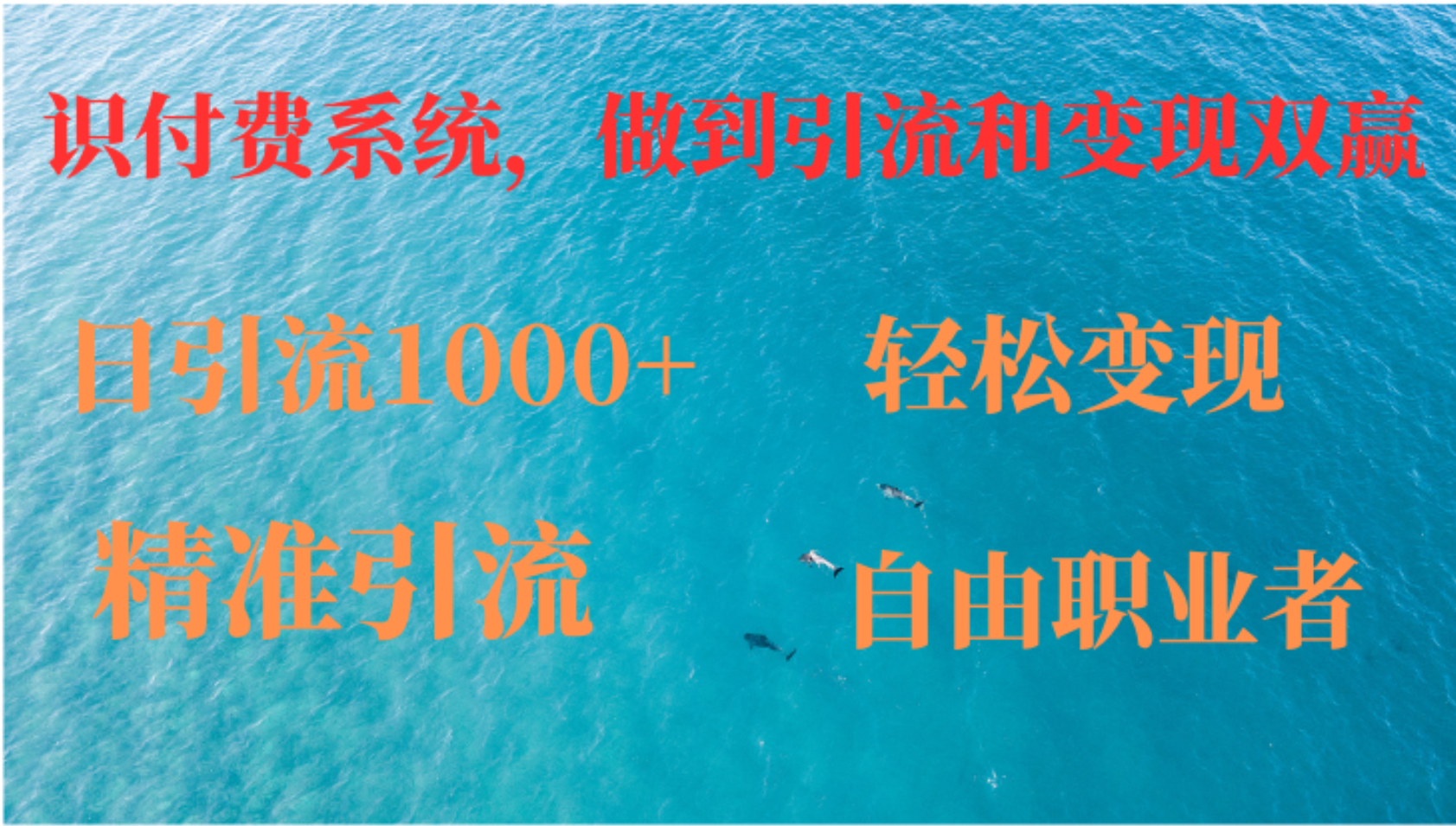 如何搭建自己的知识付费系统，做到引流和变现双赢-乐码云集